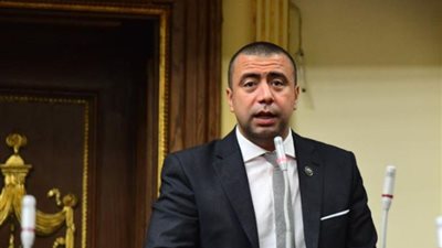 عضو بحملة السيسي: الأحزاب دعمت مرشحنا إيمانا بجهوده في قيادة مصر