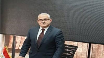 هشام عناني: يجب المشاركة في الانتخابات لاستكمال بناء الجمهورية الجديدة