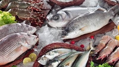 أسعار الأسماك اليوم الجمعة 8-12- 2023 بالأسواق