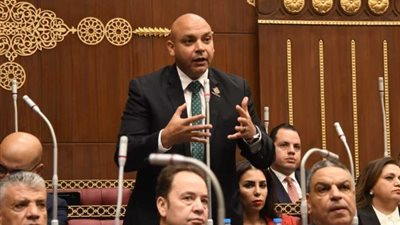 عضو بالشيوخ: المشهد الانتخابي الحالي مفاجأة للجميع ودور الشباب واضح