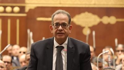 عضو برلمانية الوفد عن الانتخابات: المواطنون سيقدمون ملحمة وطنية في حب الوطن