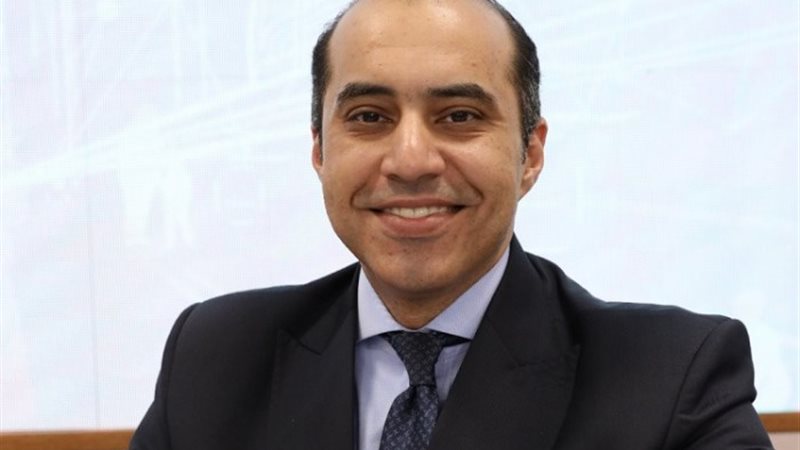المستشار محمود فوزي