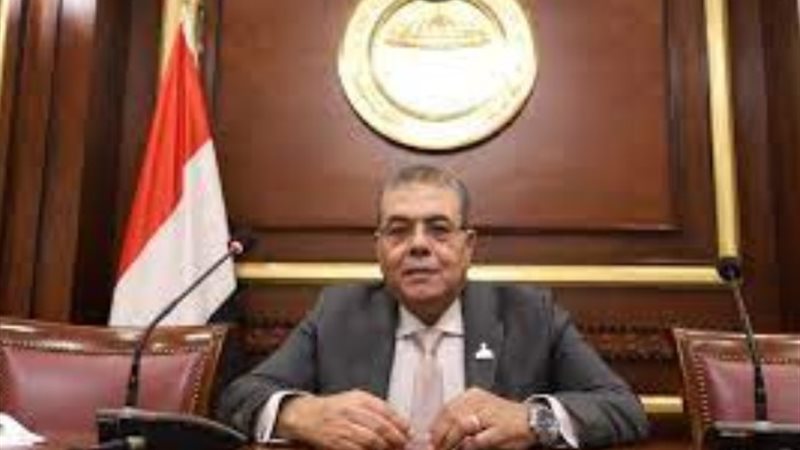 محمود منصور