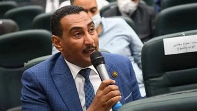 وكيل طاقة النواب: المصريون سيخرجون بالملايين للمشاركة في الانتخابات