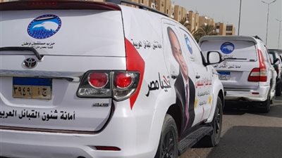 مسيرة فى شوارع مدينة 15 مايو.. بـ « علم مصر وصورة السيسي»