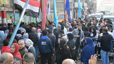«بنكمل المشوار».. المصريون يحتشدون أمام اللجان في اليوم الثاني للانتخابات