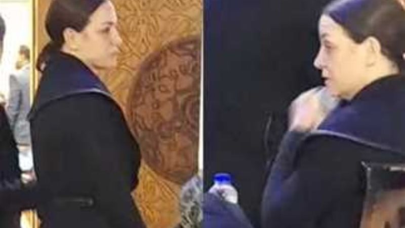 الفنانة ريهام عبدالغفور