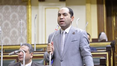 عضو بتنسيقية الأحزاب: مصر تشهد عرسا ديمقراطيا والرئيس القادم يأتي بشرعية قوية