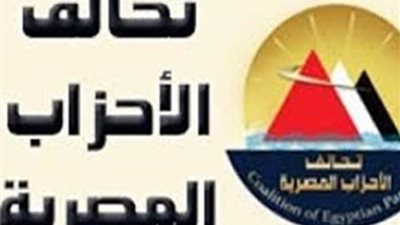 أمين تحالف الأحزاب: المحافظات شهدت توافدا كبيرا من الناخبين