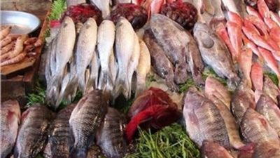 البلطي بـ62.. أسعار الأسماك اليوم الخميس 14-12- 2023