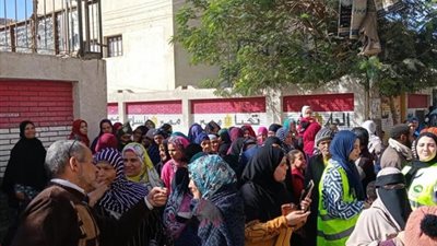 عروس الصعيد تنتخب «طوابير »  المنيا أمام اللجان  في اليوم الثالث للانتخابات