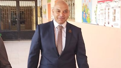 عضو تنسيقية الأحزاب: مشاركة المصريين في الانتخابات الرئاسية غير مسبوقة