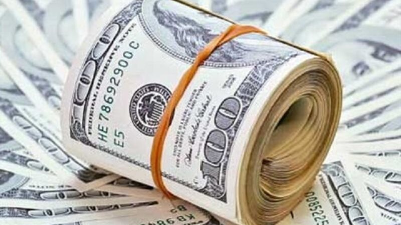 سعر الدولار