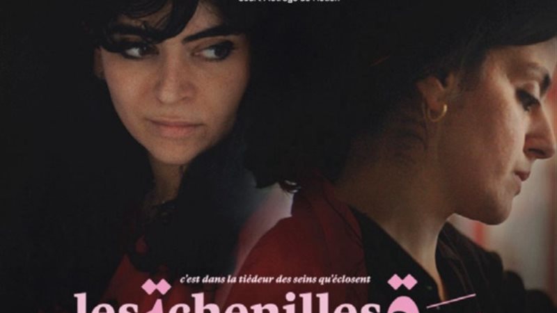 أفيش فيلم «يرقة»