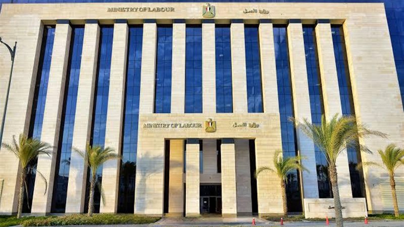 وزير العمل