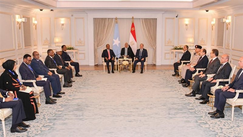 الرئيس السيسي والرئيس الصومالي