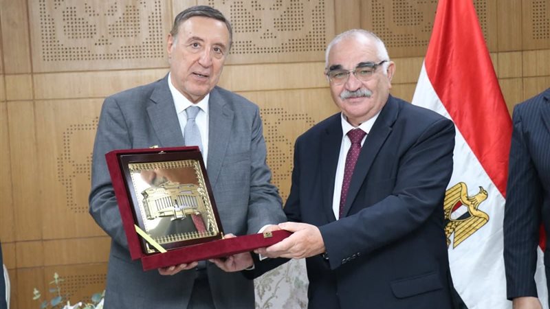 المستشار حسين مدكور ورئيس المحكمة الدستورية 