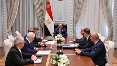 الرئيس السيسي يلتقي المدير العام لهيئة الطاقة النووية الروسية