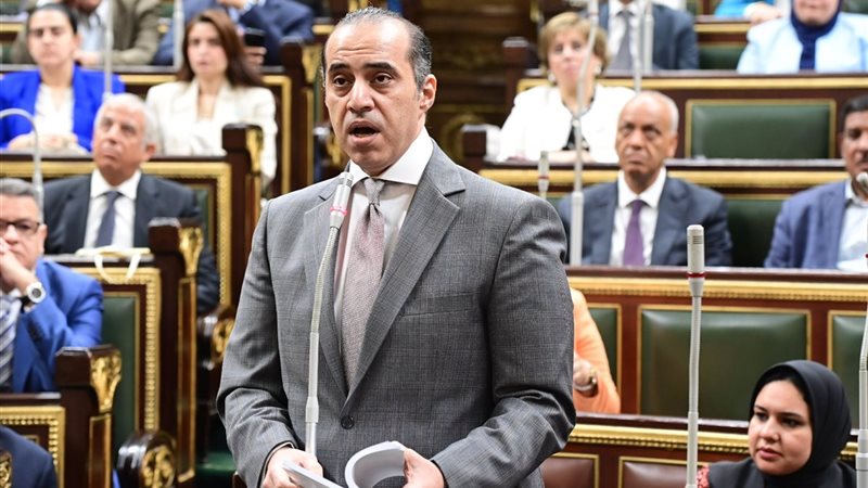 المستشار محمود فوزي