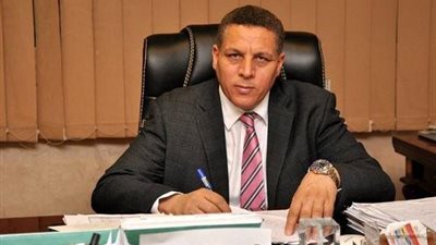 عضو بالشيوخ: الرئيس السيسي حريص على تحقيق طفرة اقتصادية حقيقية الفترة المقبلة 