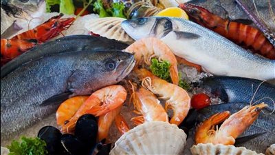  كم سجل البلطي؟.. سعر الأسماك في الأسواق اليوم السبت 8 نوفمبر 2025