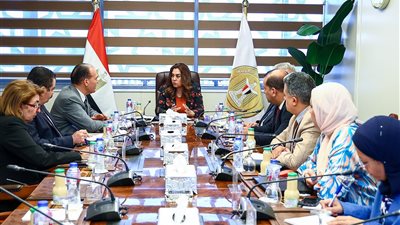 توجهات جديدة لوزيرة التنمية المحلية بشأن تطبيق الهوية البصرية في المحافظات