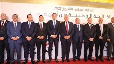 تنسيقية الأحزاب والسياسيين.. حضور مؤثر في النواب واستعداد مبكر لانتخابات الشيوخ 2025