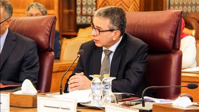 «الجمارك»: نتطلع إلى استراتيجية عربية مشتركة للتعاون الجمركي والإداري