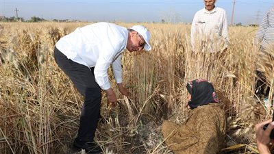 استخراج 438 ألف كارت فلاح وتوزيع 95 ألف طن أسمدة في المنيا