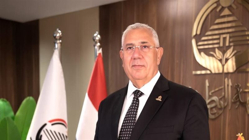 السيد القصير
