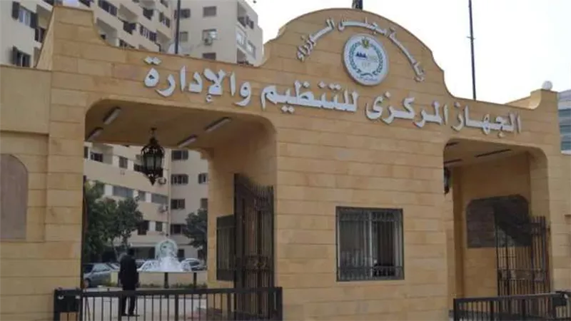 التنظيم والإدارة 