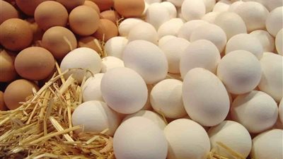 البيض عند أقل مستوى منذ عامين ونصف.. وتراجع يتجاوز 33% عن ذروته التاريخية