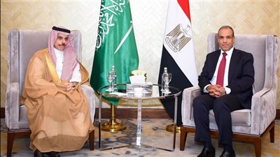 وزير الخارجية ونظيره السعودي يؤكدان رفض أي محاولات للمساس بالعلاقات التاريخية بين البلدين
