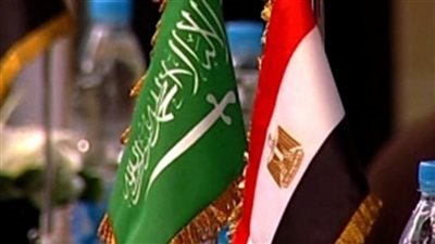 أستاذ العلوم السياسية: العلاقات المصرية السعودية تمثل ركيزه للأمن القومي العربي