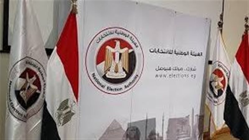 الهيئة الوطنية للانتخابات 