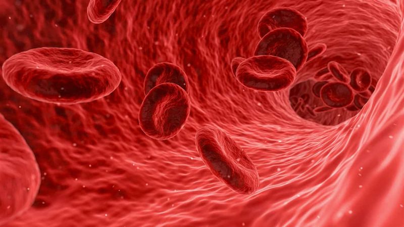  فقر الدم
