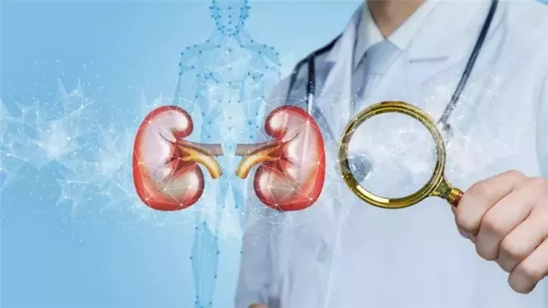 علامات تكشف ضعف وظائف الكلى