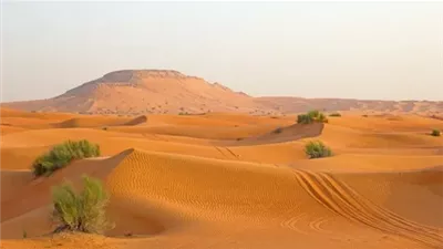الزراعة: 632 موافقة فنية لمشروعات جديدة في الظهير الصحراوي 