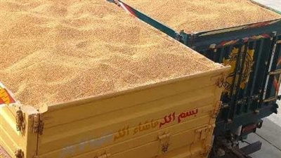 سوهاج تتخطى المستهدف السنوي لتوريد القمح وتستقبل أكثر من 183 ألف طن 