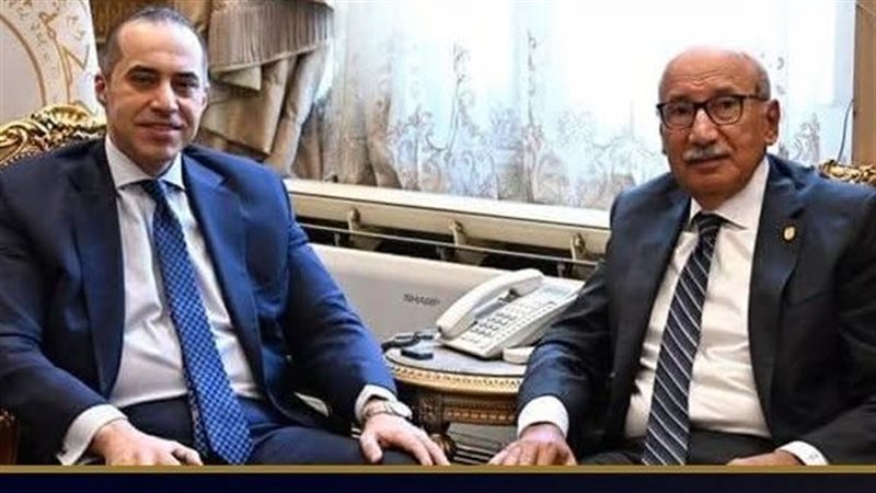 وزير الشئون النيابية 