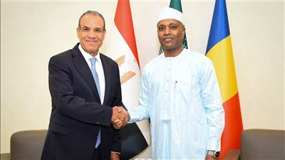 وزير الخارجيّة يؤكد لنظيره التشادي اهتمام مصر بإنجاز مشروع الطريق البري
