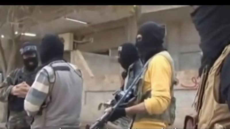 العناصر الإرهابية 