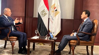 وزير الشباب: لا توجد في مصر محكمة رياضية تخصصية | فيديو