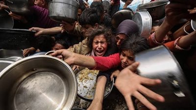 60 شهيدا في غارات للاحتلال على قطاع غزة منذ فجر اليوم