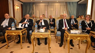مجلس الشيوخ: حاولنا نقل تقاليد القضاء إلى عالم السياسة 