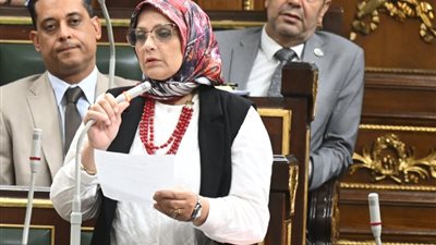 نجلاء العسيلي: كلمة الرئيس في ذكرى ثورة يوليو تجديد للعهد الوطني