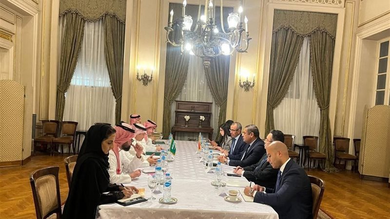 نائب وزير الخارجية ونظيره السعودي 
