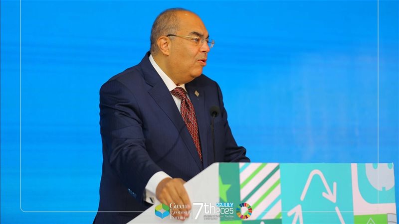 دكتور محمود محيي الدين 