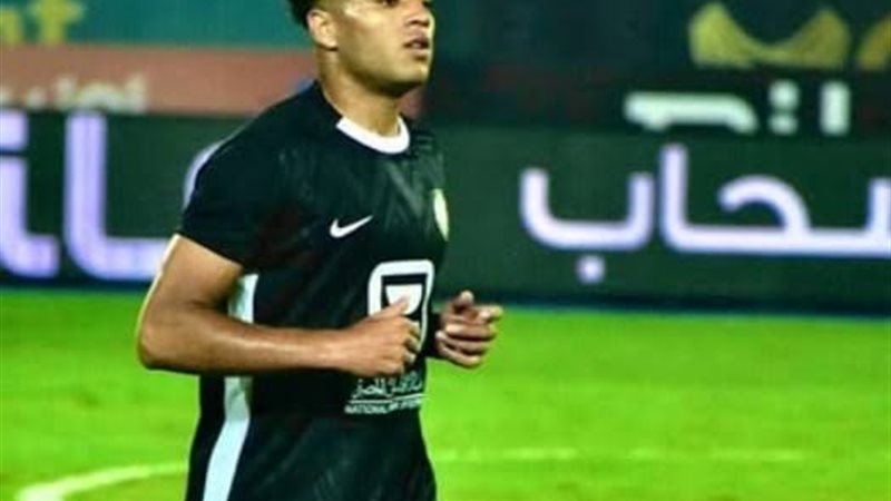 أحمد ربيع