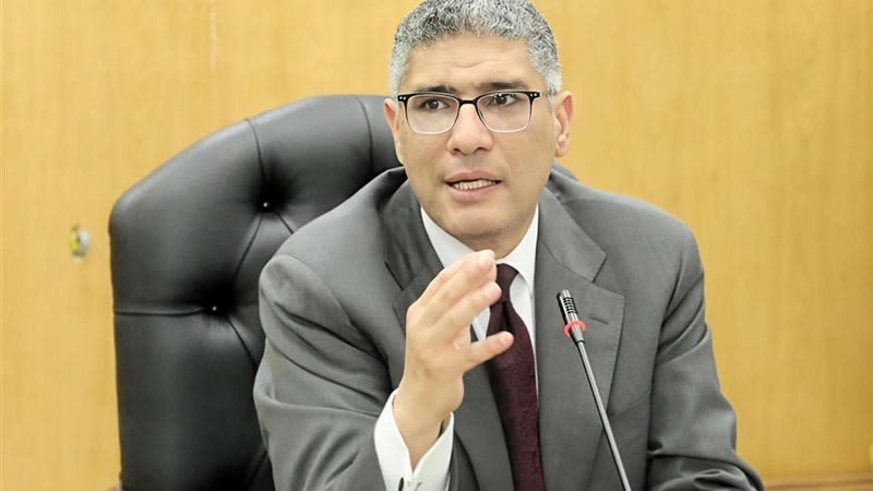 محافظ الجيزة